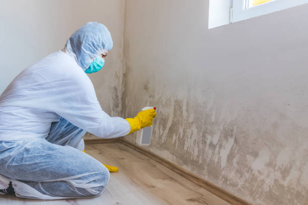 Licensed Mold Remediation service in Fredericksburg, TX - 24 Hour Mold Removal