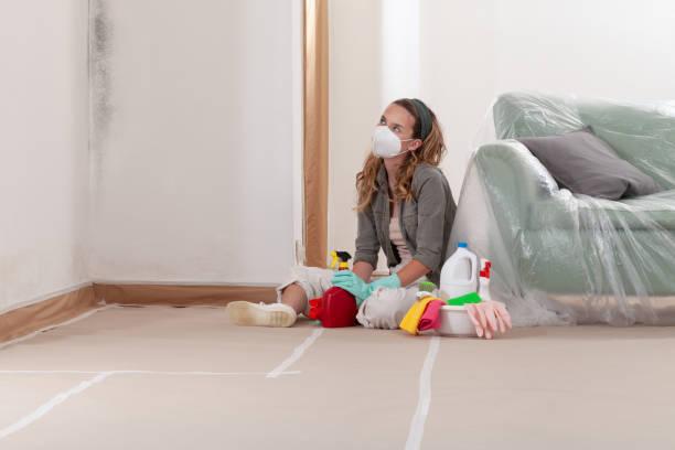 Reliable Mold Remediation contractor in Fredericksburg, TX by 24 Hour Mold Removal